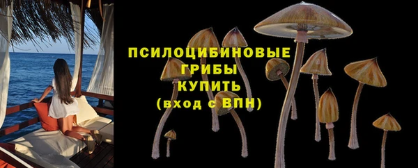 ПСИЛОЦИБИНОВЫЕ ГРИБЫ Алексеевка
