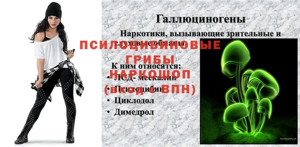 гидропоника Алексин
