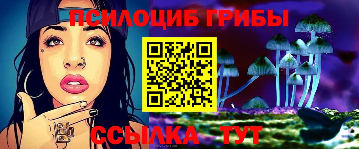 Красногорск  Галлюциногенные грибы GOLDEN TEACHER  Вход с VPN 
